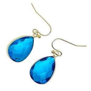 Blue Crystal Teardrop Dangle Earrings